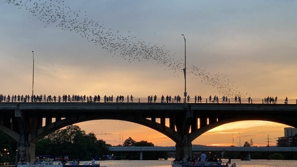 Sunset in Austin at the Congress Bat Bridge