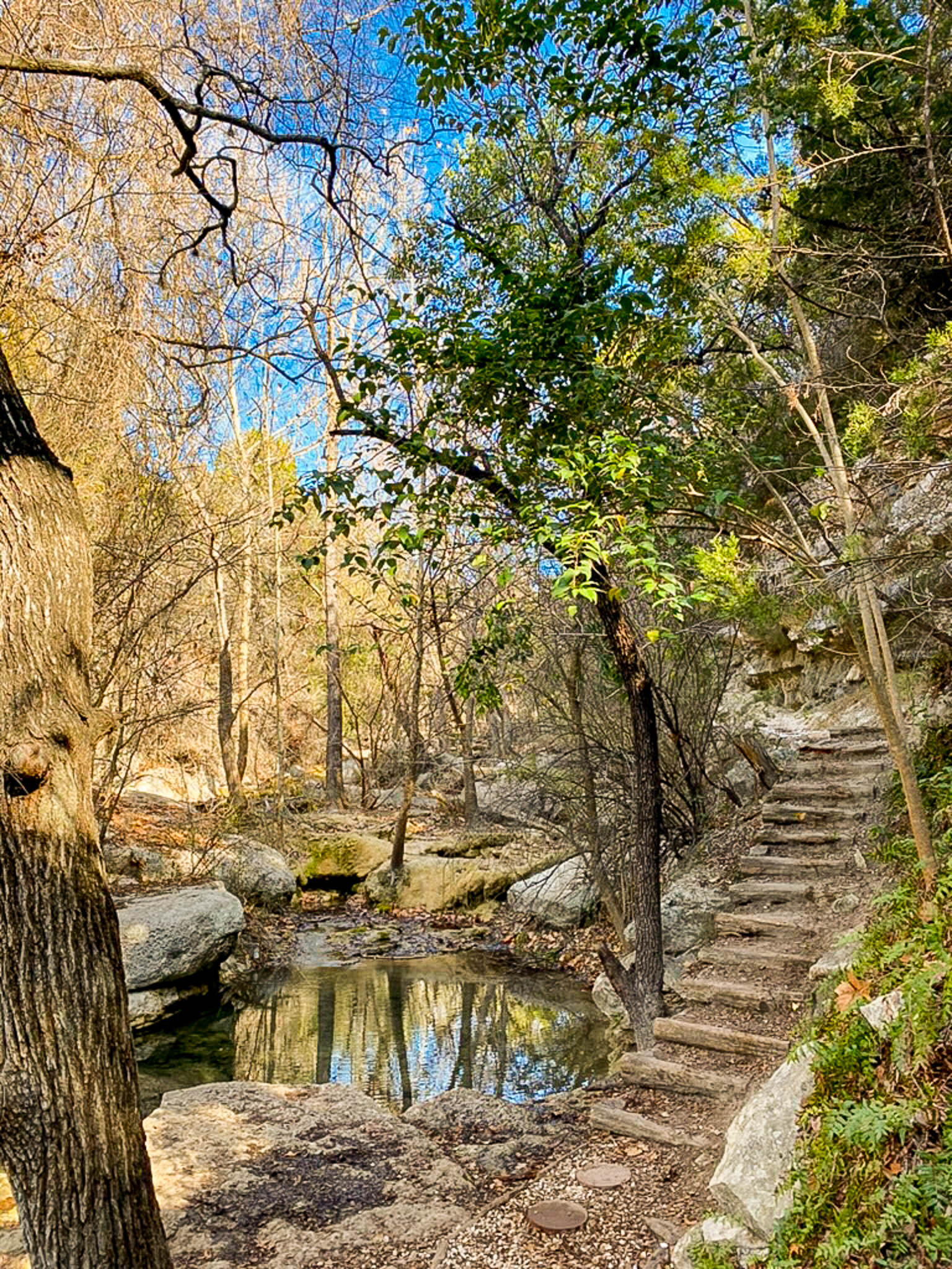 HIKING IN AUSTIN - 101 free things to do in ATX!