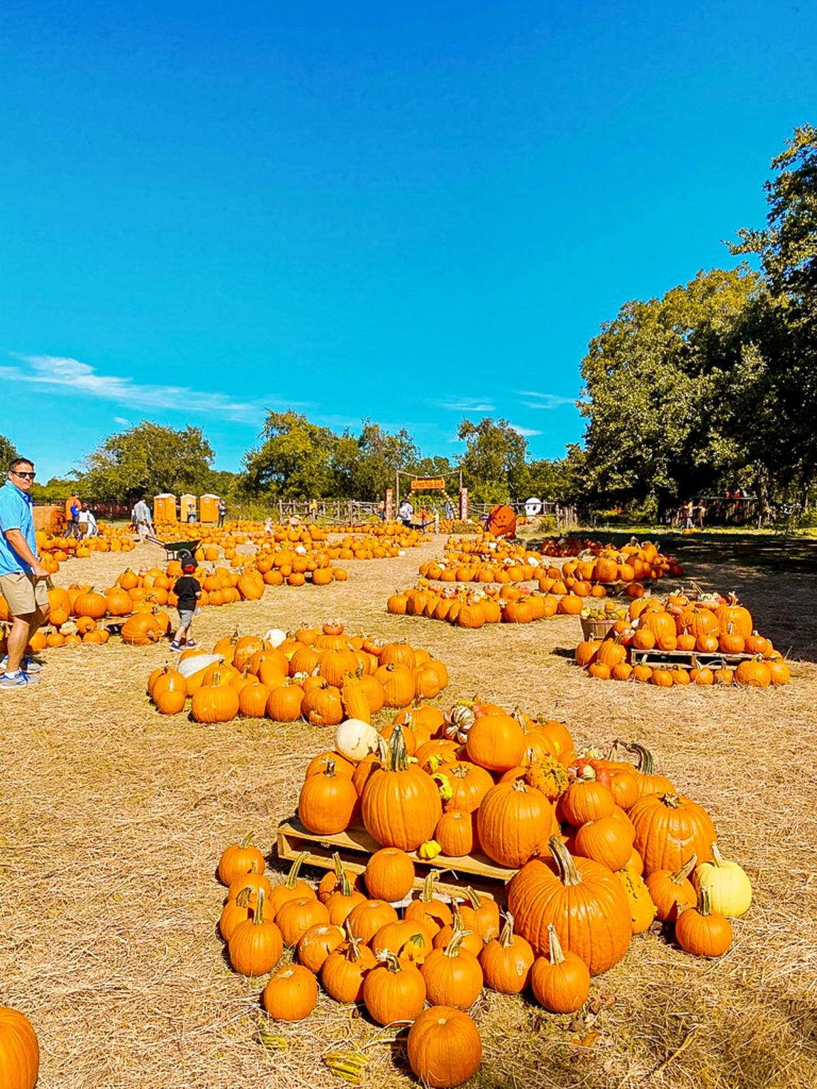 things-to-do-in-the-fall-in-austin-your-autumn-bucket-list-the