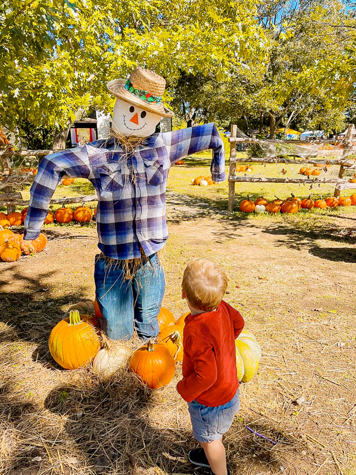 Things To Do In The Fall In Austin: Your Autumn Bucket List | The 