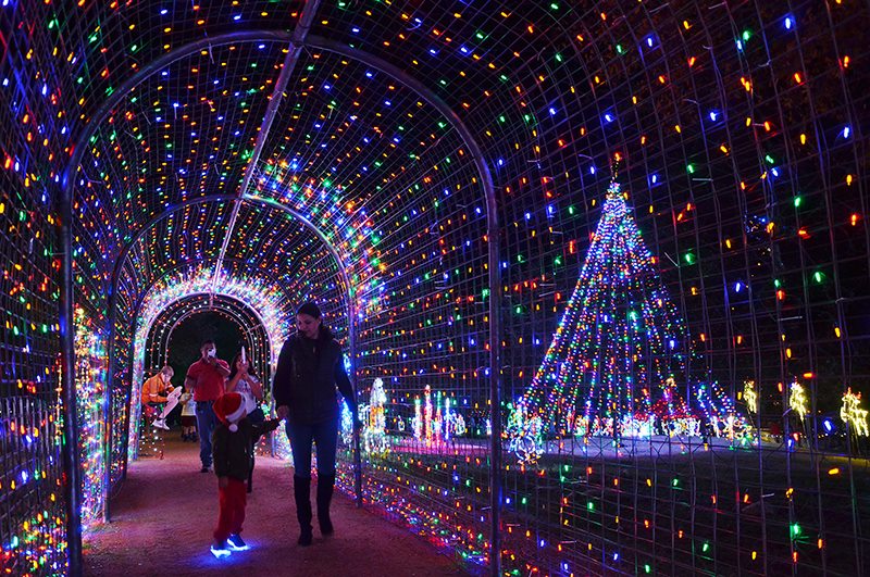 15 Free Things To Do In Austin This Christmas