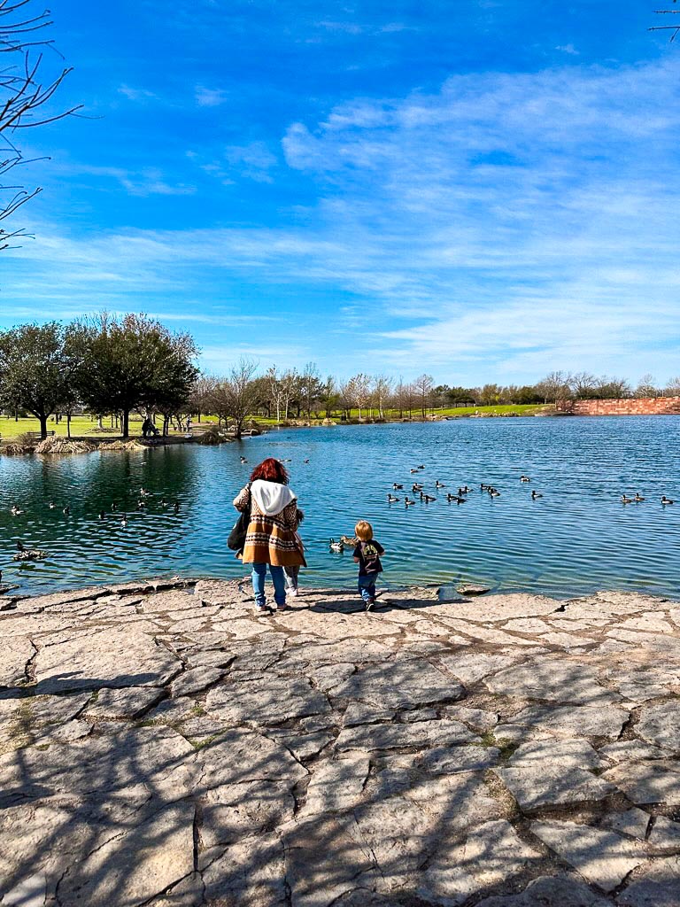 The ducks at Mueller Lake in Austin
