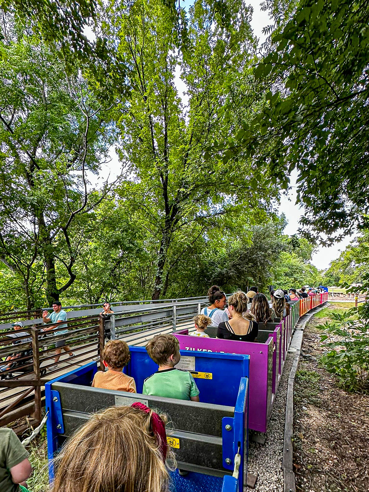 Zilker Eagle Train