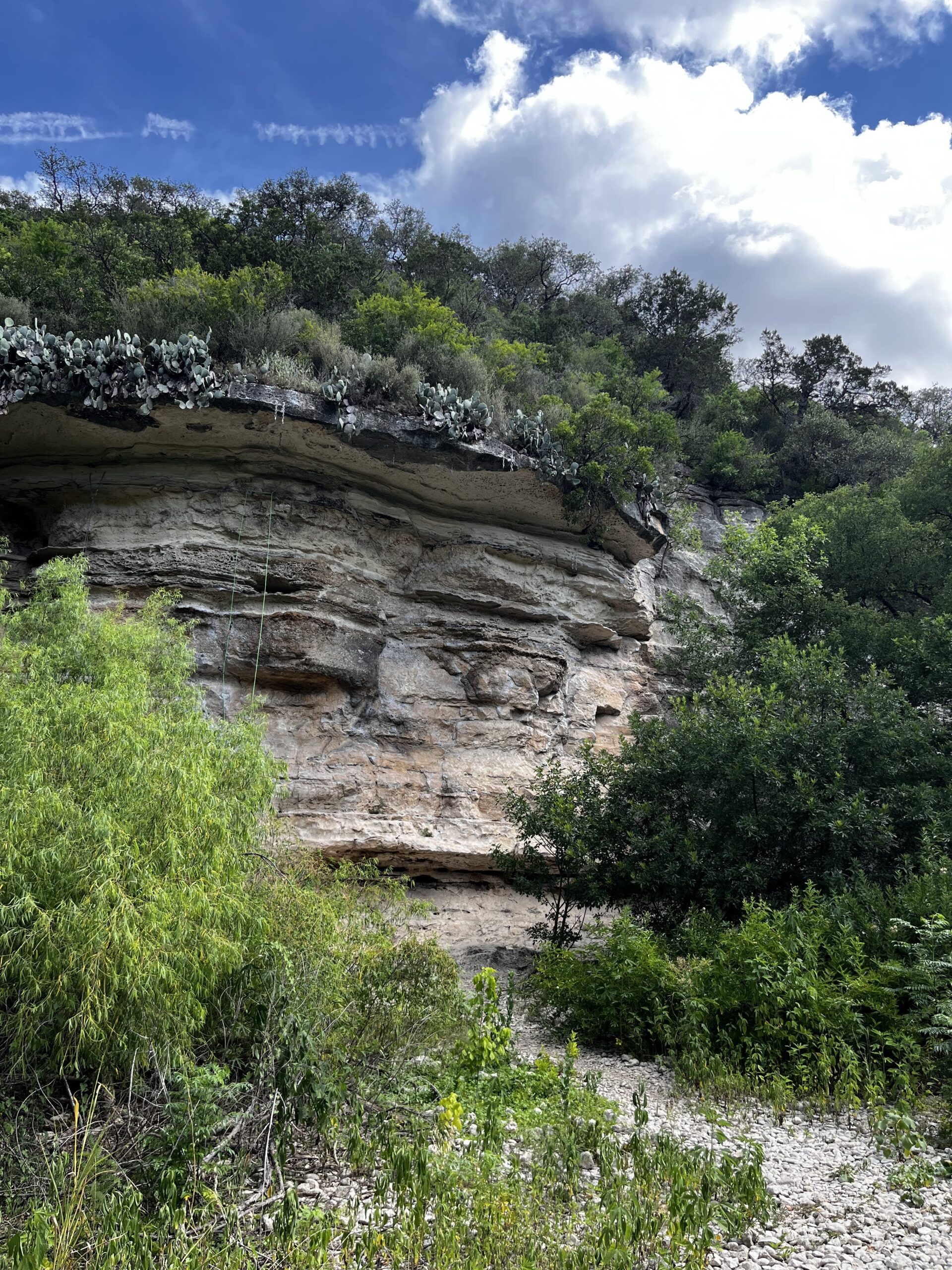 A Beginner’s Guide To The Austin Greenbelt