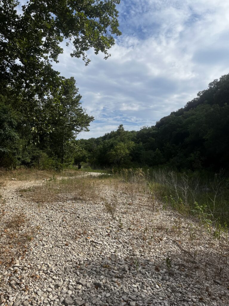 A Beginner s Guide To The Austin - Extra Photo 768x1024 