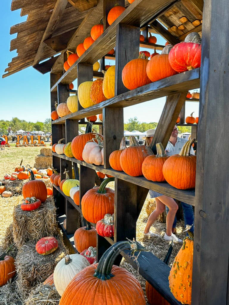 fall activities in Austin