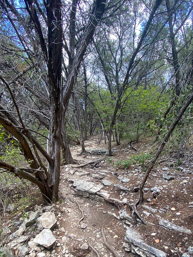 hiking in Austin