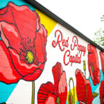 poppies in Georgetown Texas