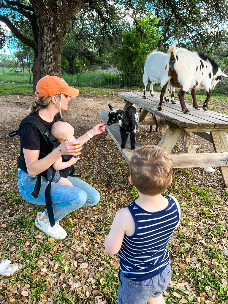 Goat Farm at Jester King Austin