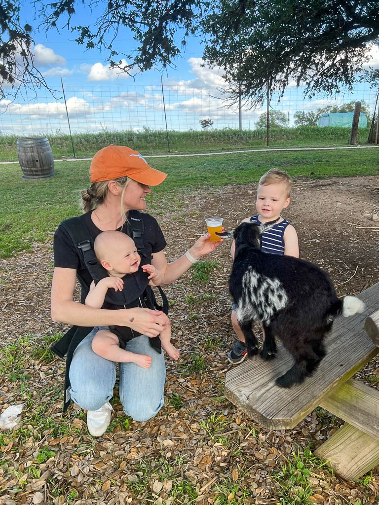 Jester King goat farm